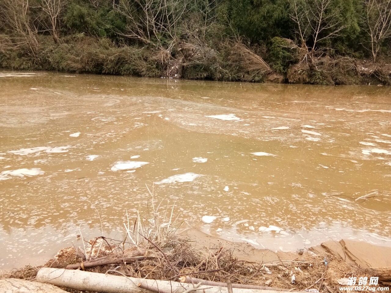 20180121_188739_1516521420199.jpg