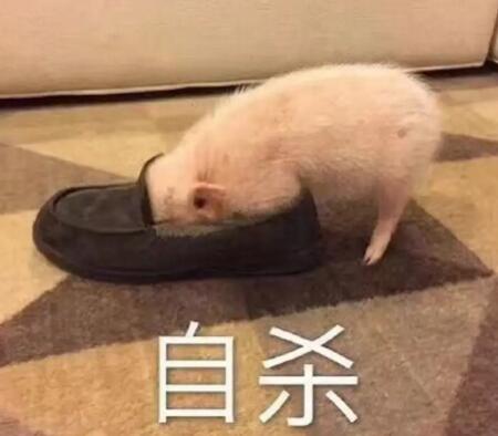 QQ截图20180122165608.jpg