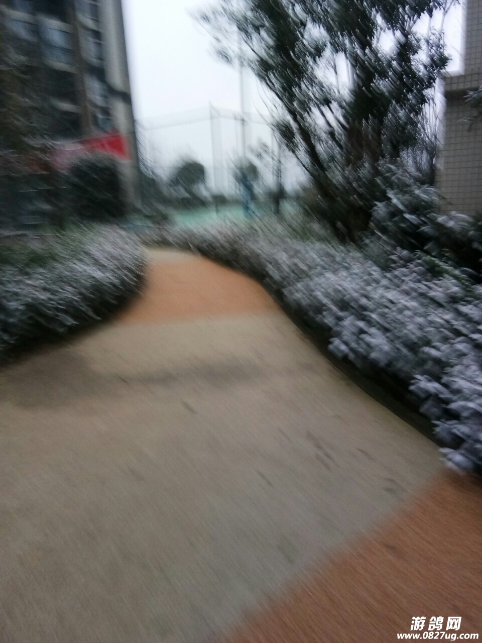 20180125_142201_1516838855035.jpg