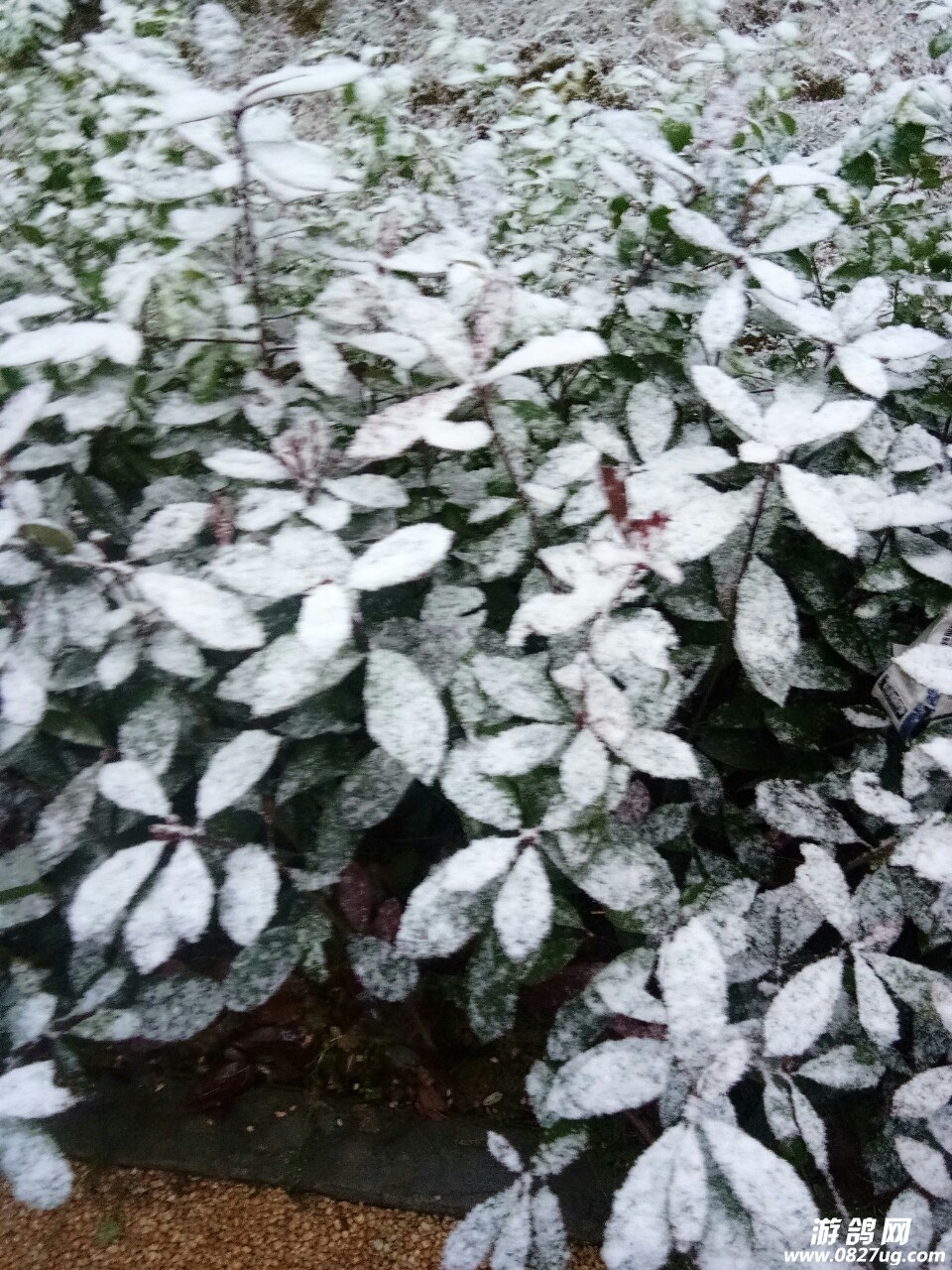 20180125_142201_1516838855667.jpg