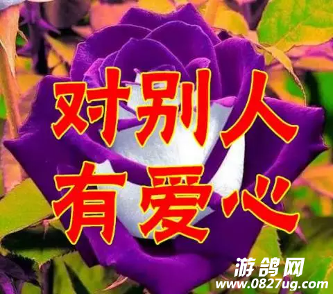 20180126_181106_1516969179667.png
