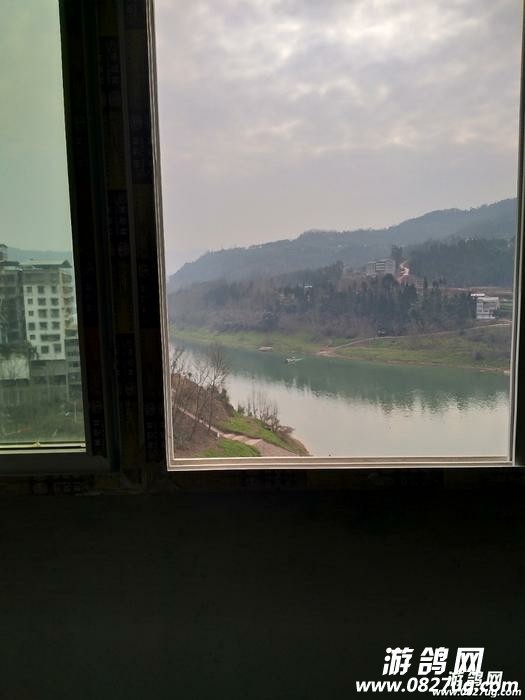 20180130_179779_1517282594228.jpg