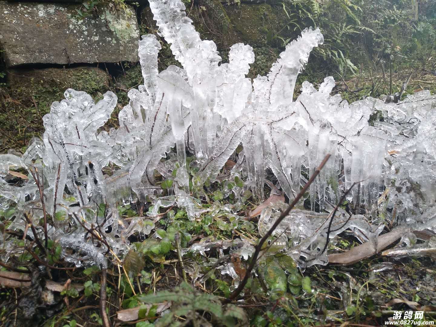 ΢ͼƬ_20180201214605.jpg
