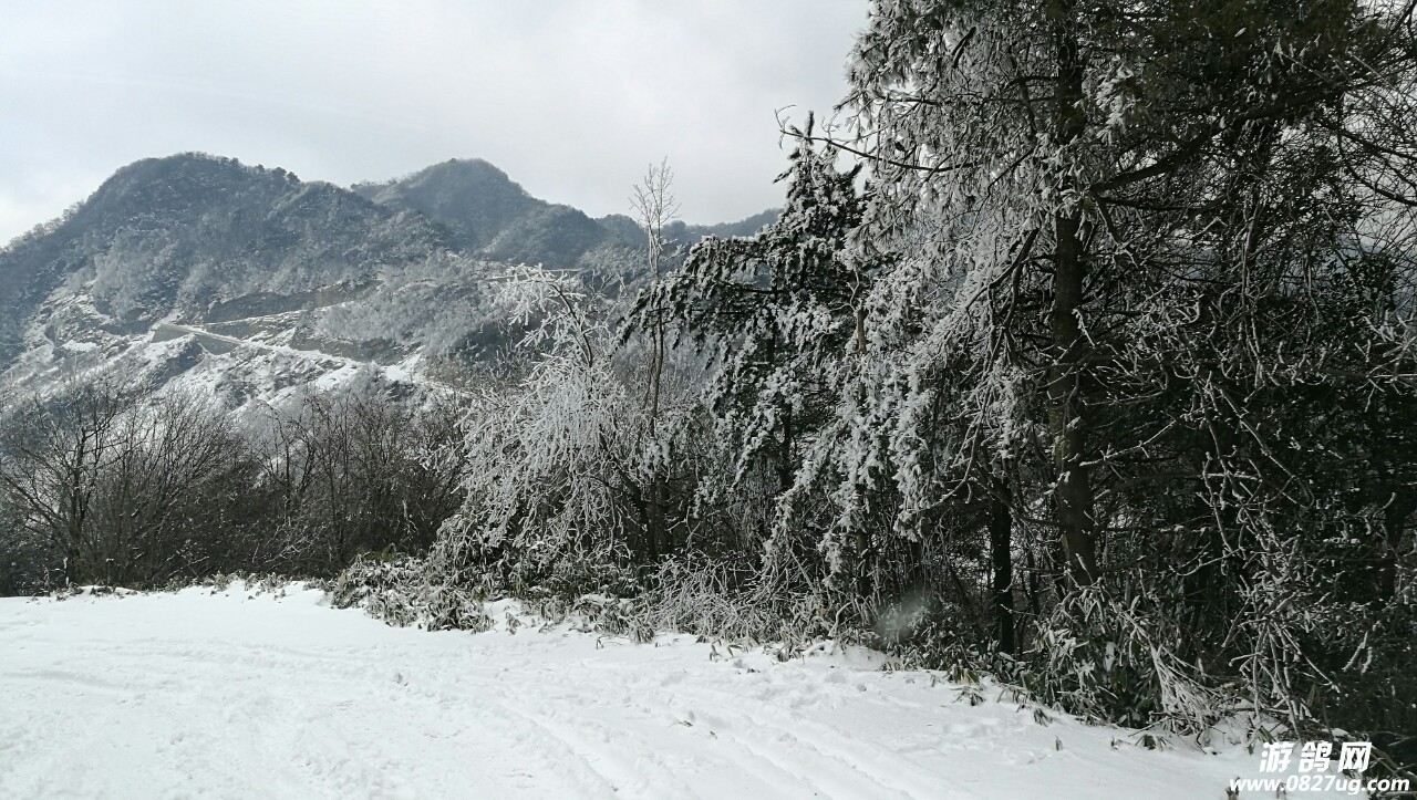 20180202_168269_1517569664441.jpg