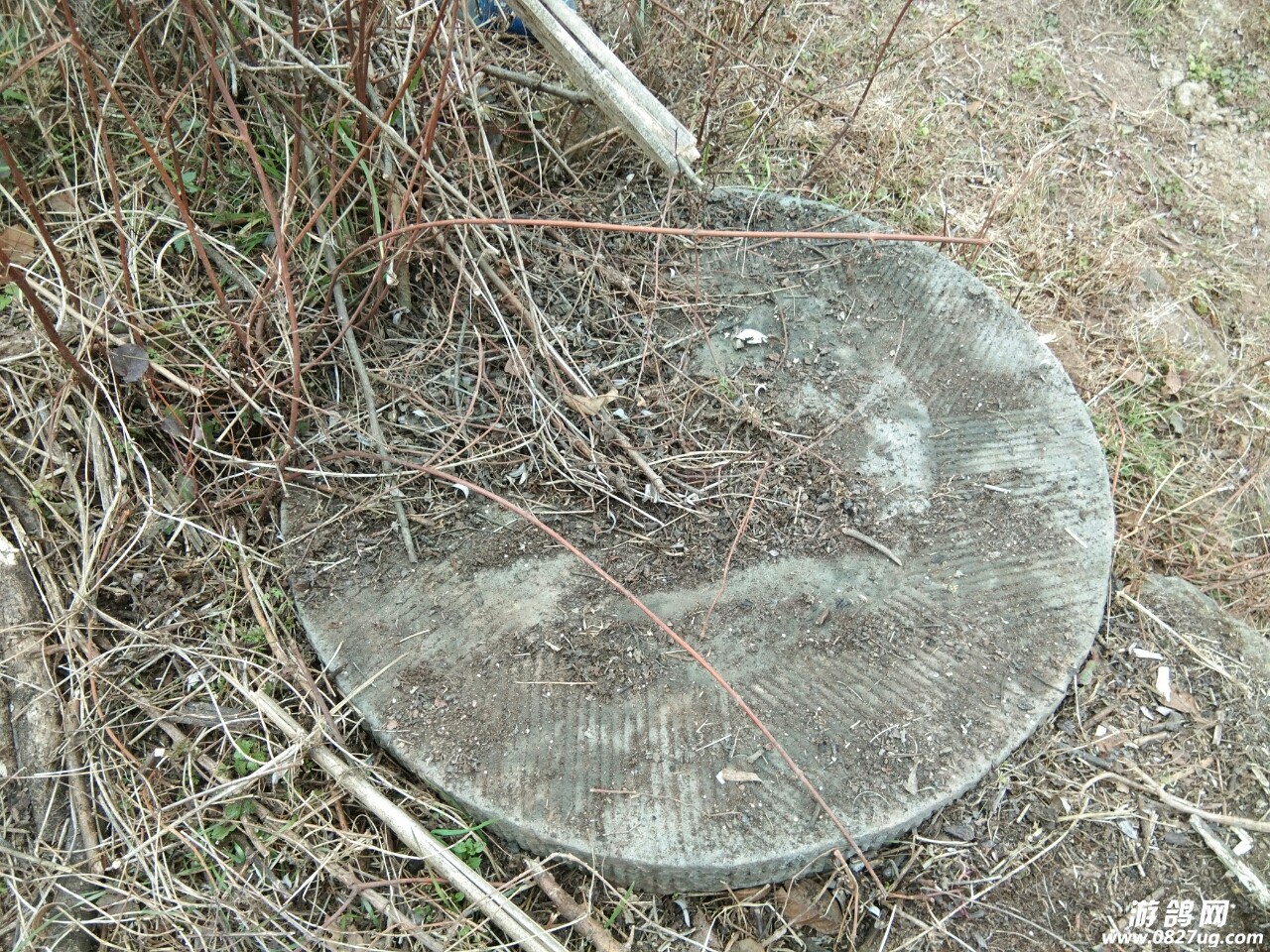 20180209_162776_1518185667239.jpg