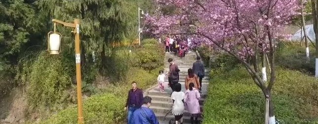 ΢ͼƬ_20180304143222.jpg