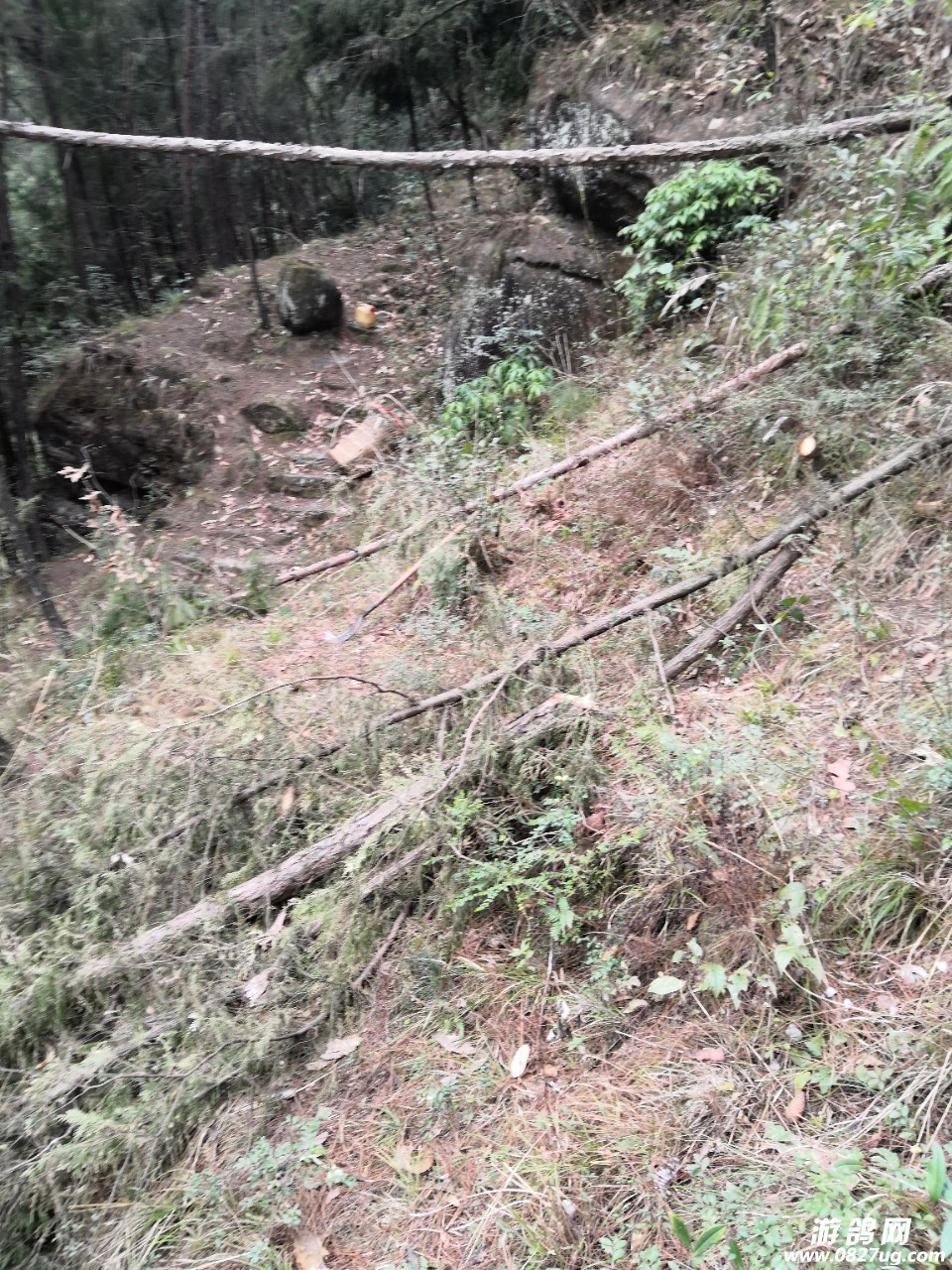 20180310_193179_1520648149784.jpg