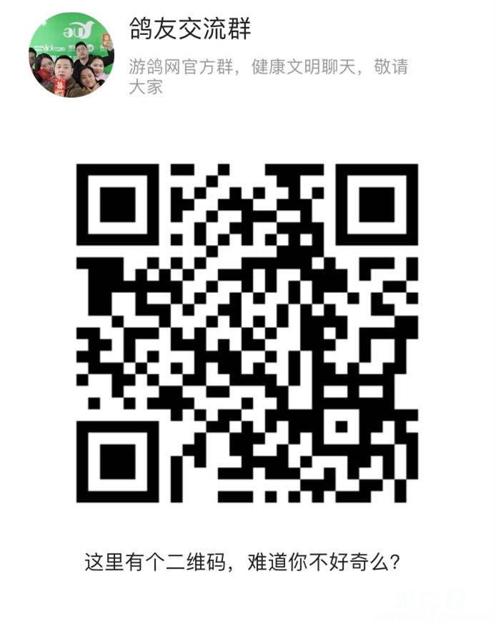 2_副本.jpg