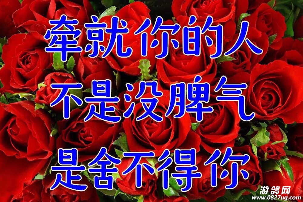201803141930311520985071287866.jpg