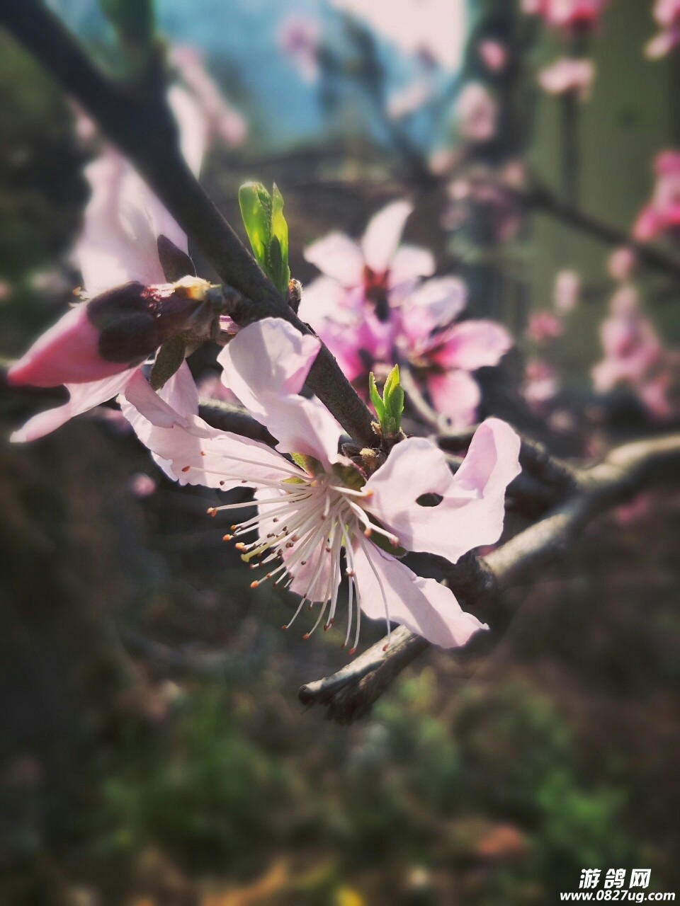 20180314_163394_1521034727603.jpg