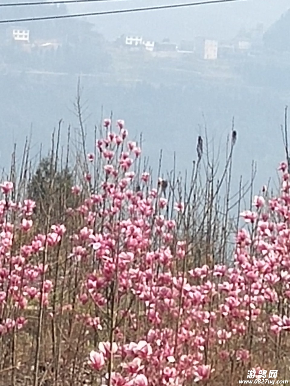 20180315_188695_1521071345744.jpg
