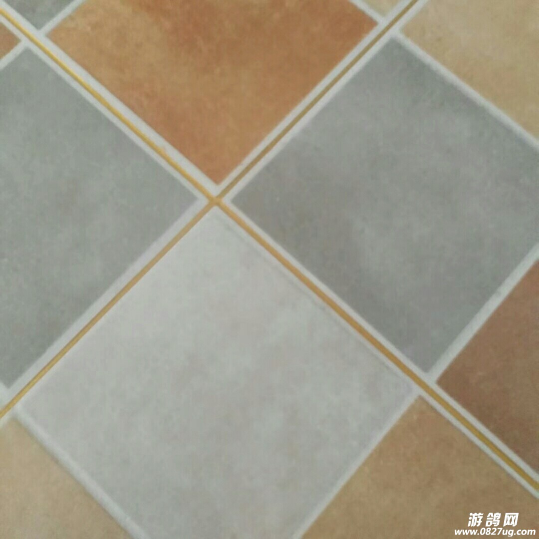 20180315_169999_1521107161138.jpg
