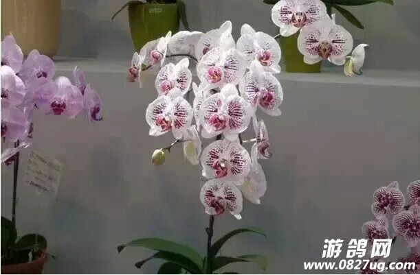 20180317_181106_1521300053994.jpg