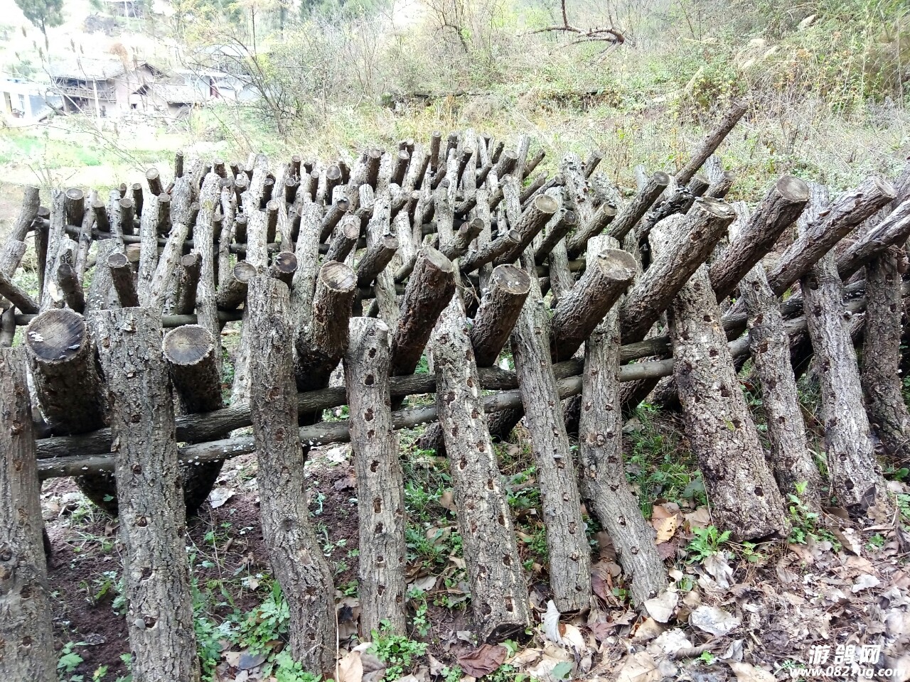 20180319_178919_1521436904281.jpg