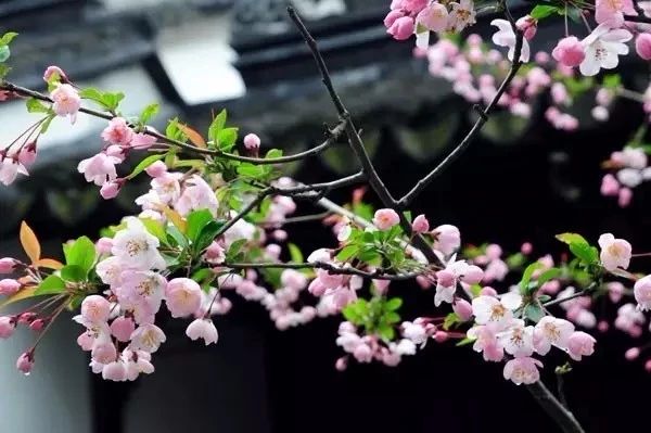 ΢ͼƬ_20180321154212.jpg