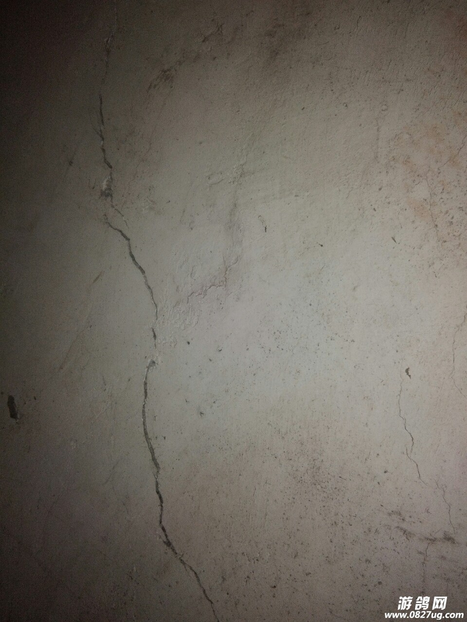 20180323_191078_1521753855200.jpg
