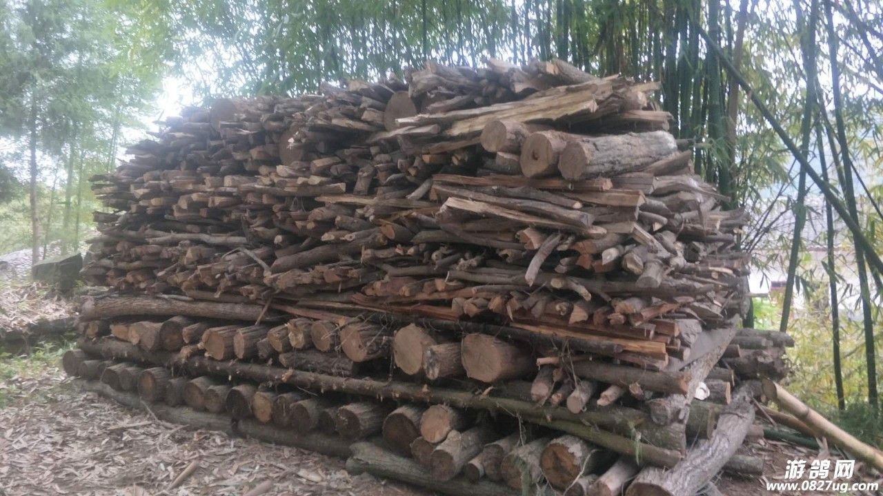 20180328_119649_1522207174544.jpg