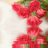 20180328_181106_1522234100314.gif