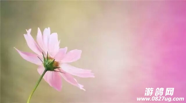 20180329_148740_1522310830453.jpg
