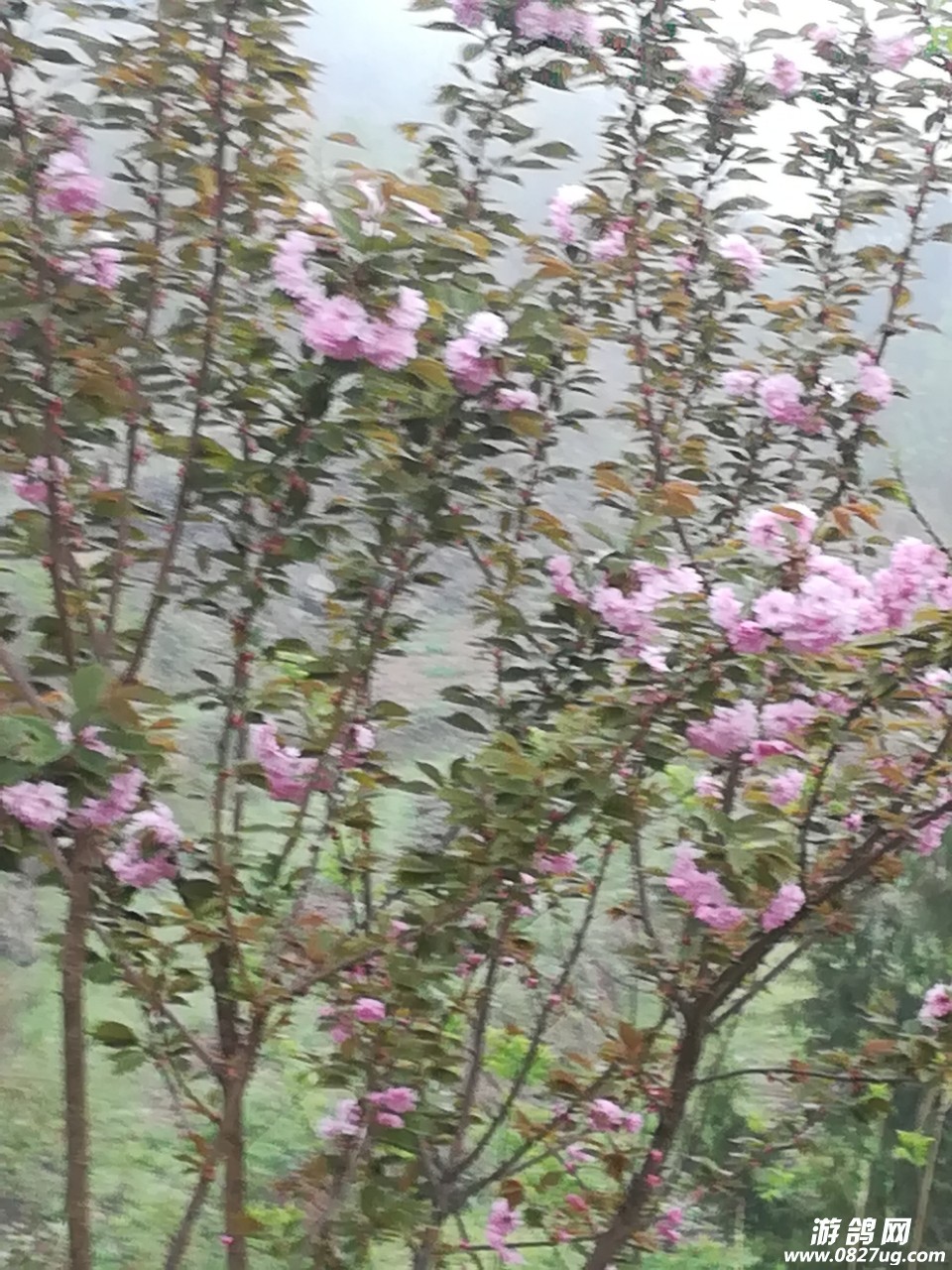 20180330_131176_1522362775490.jpg