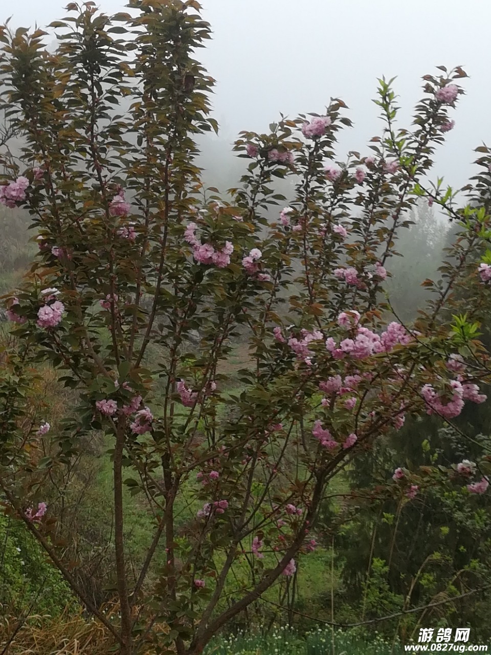 20180330_131176_1522362774671.jpg