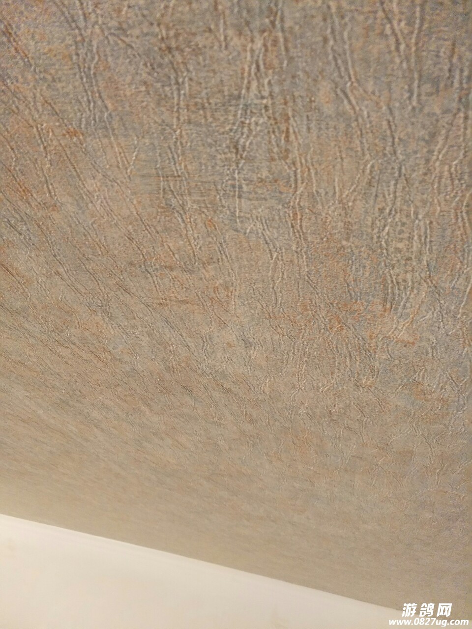 20180402_64209_1522633021136.jpg