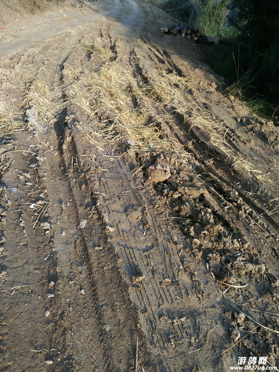 20180403_167226_1522708053817.jpg