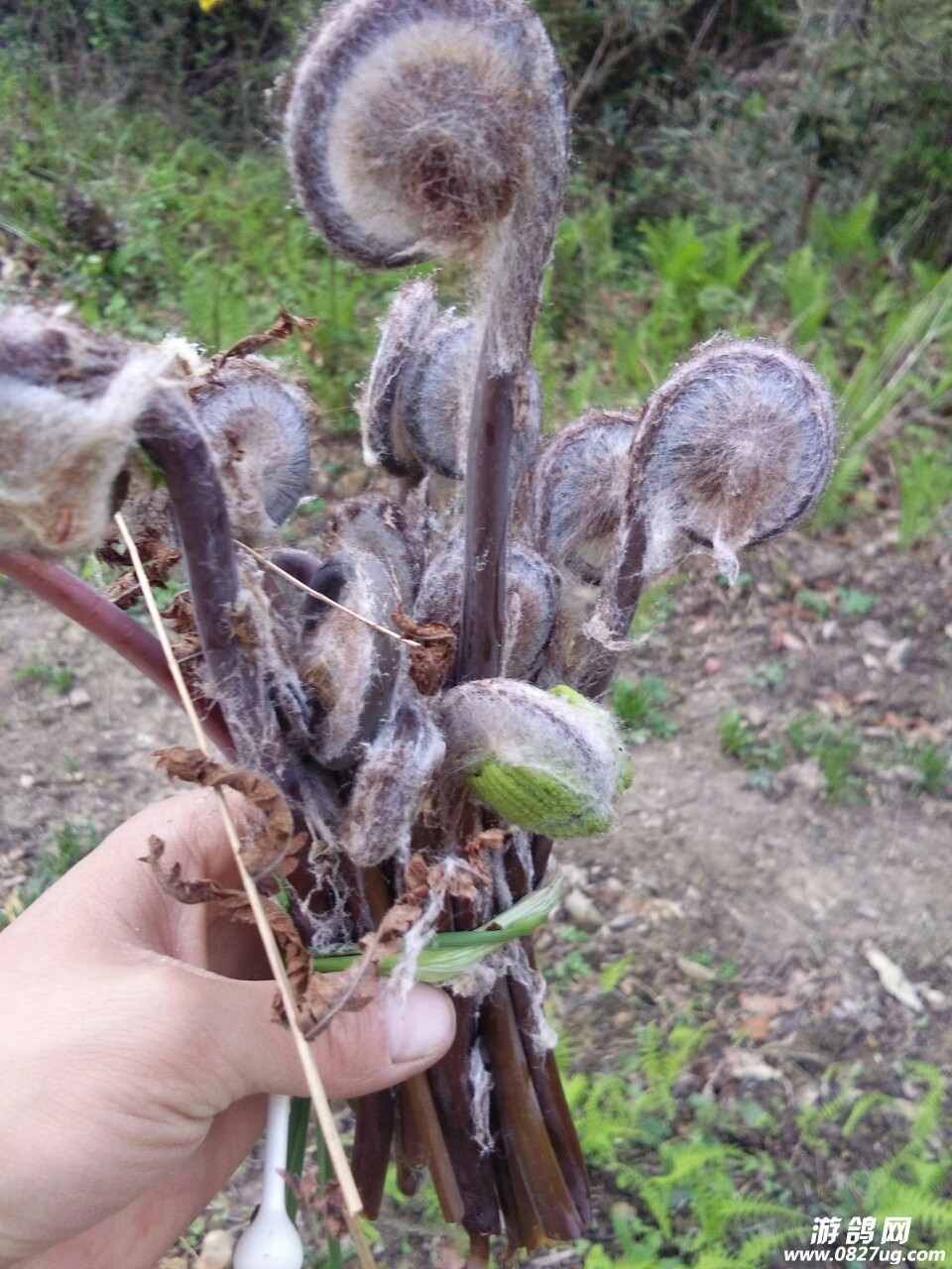 20180403_144568_1522720905924.jpg