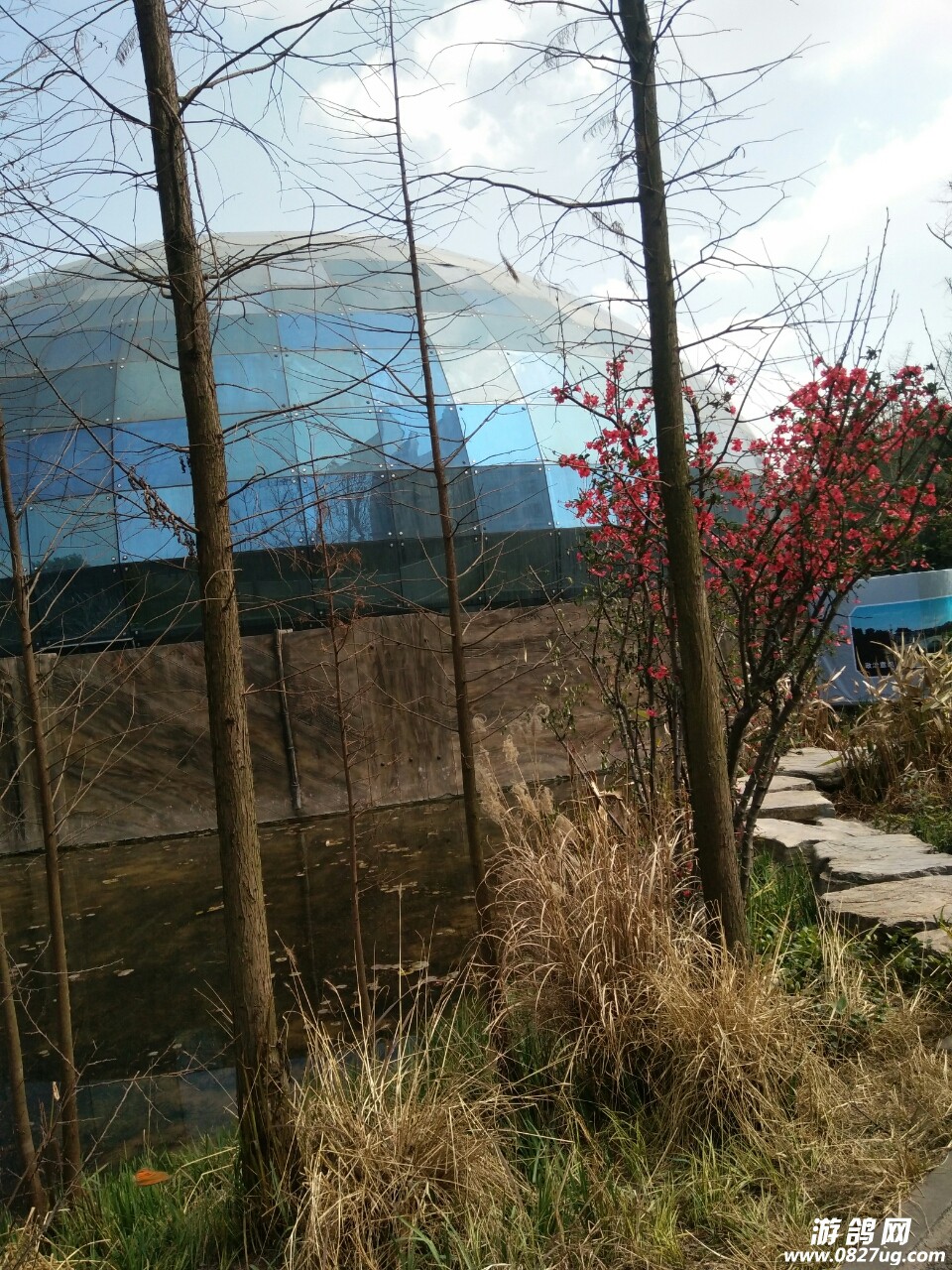 20180404_169869_1522818543114.jpg