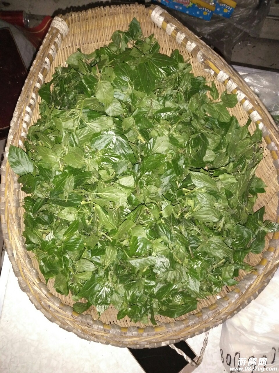 20180405_181106_1522890750674.jpg