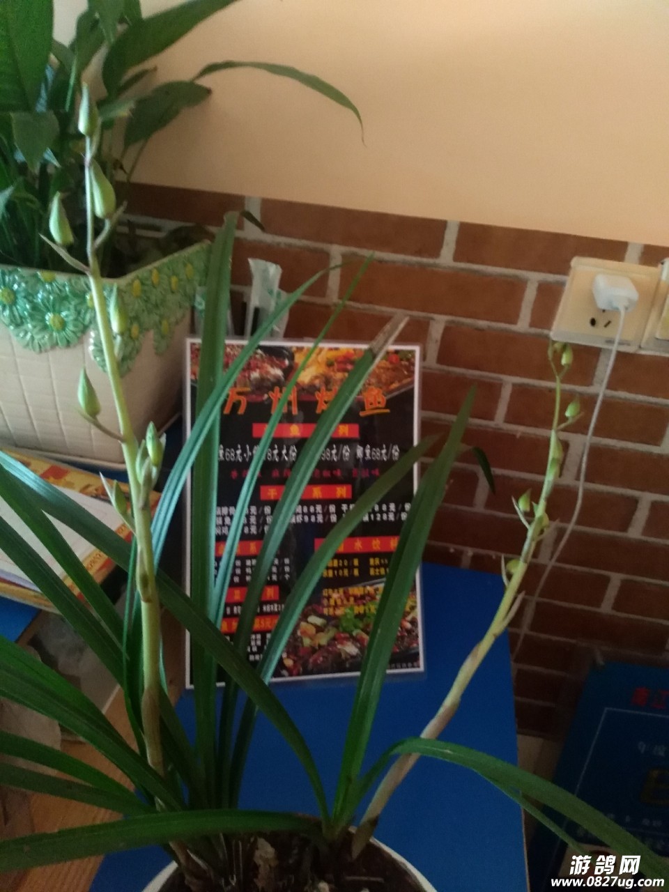 20180405_193429_1522916230100.jpg