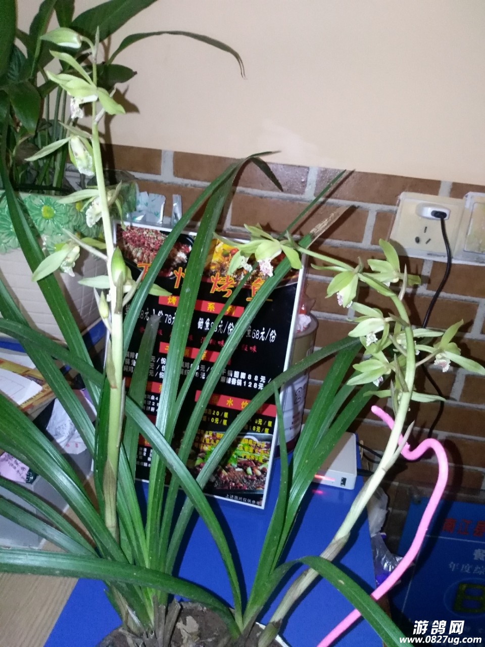 20180405_193429_1522916231418.jpg
