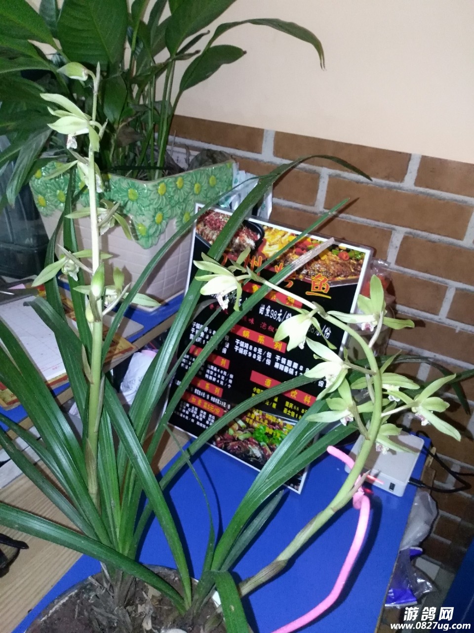 20180405_193429_1522916232098.jpg