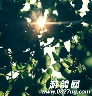 20180407_188728_1523067225624.jpg