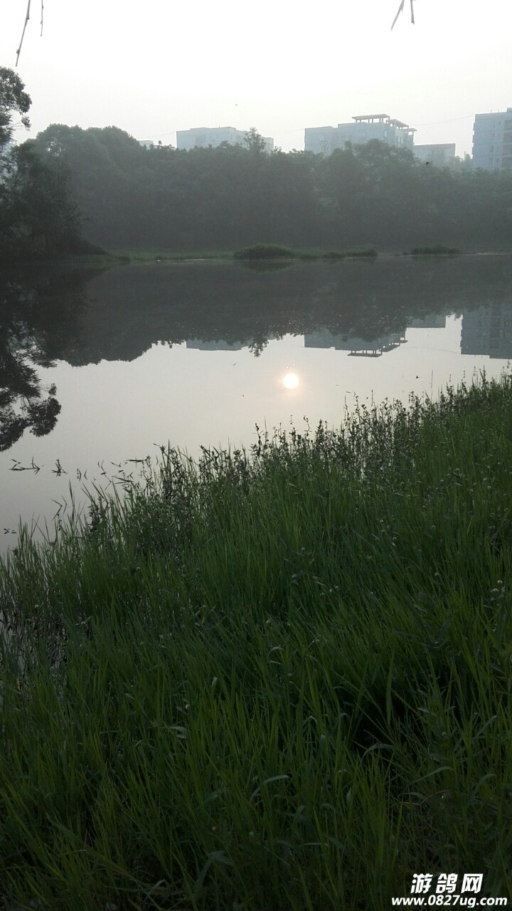 20180408_192900_1523188116836.jpg