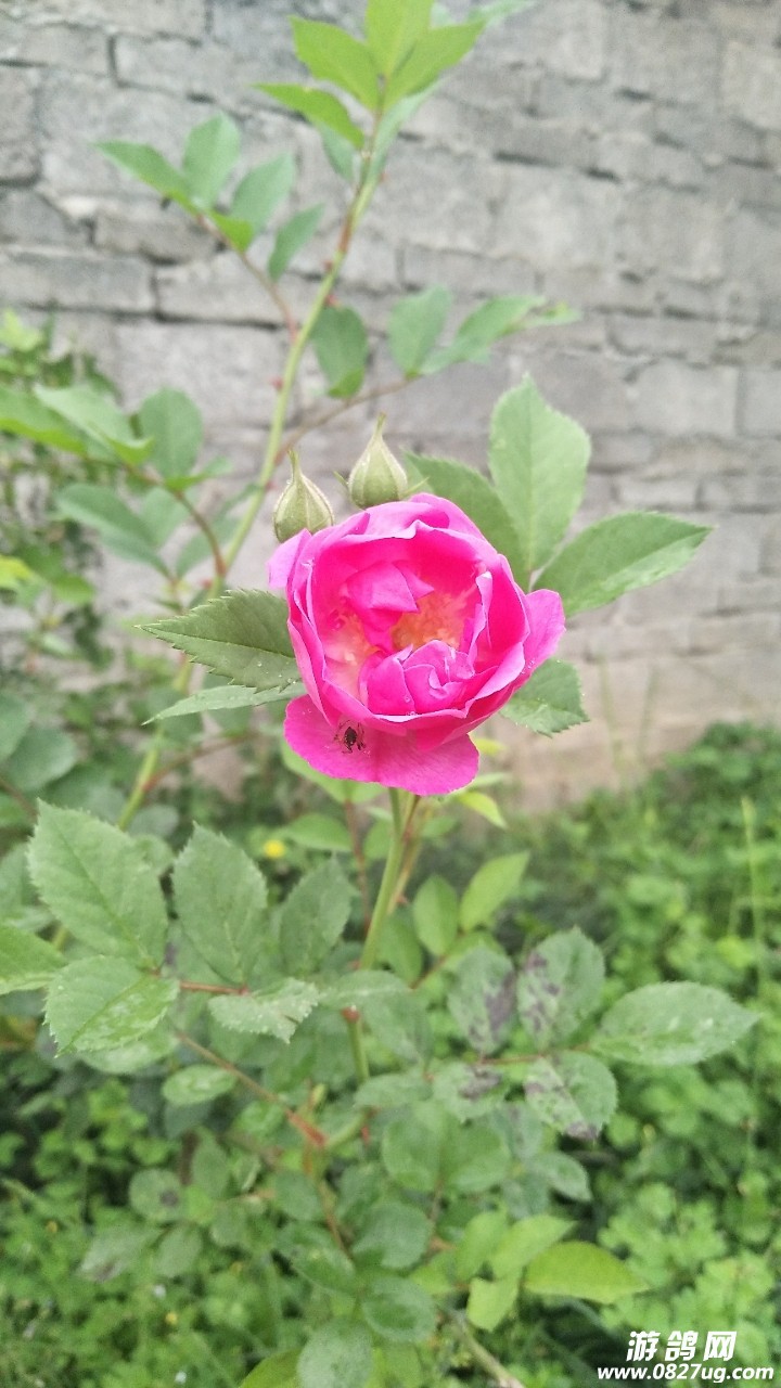 20180411_161301_1523411691433.jpg