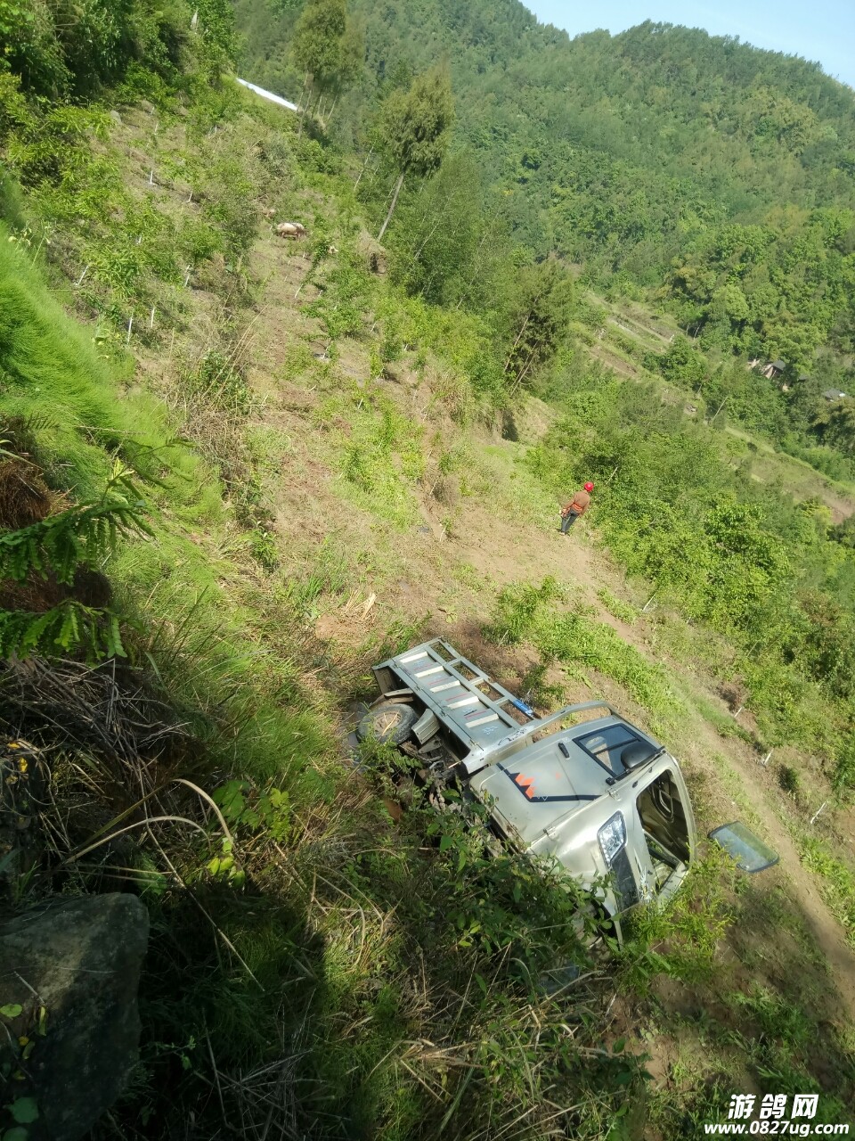 20180415_148740_1523781968417.jpg