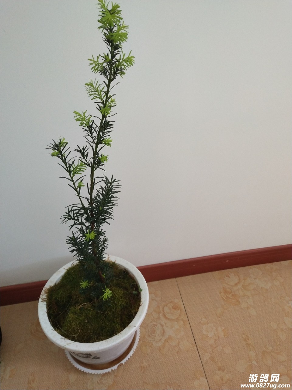 20180416_188695_1523849018818.jpg