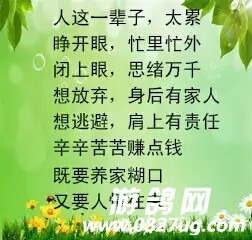 20180417_144104_1523916972768.jpg