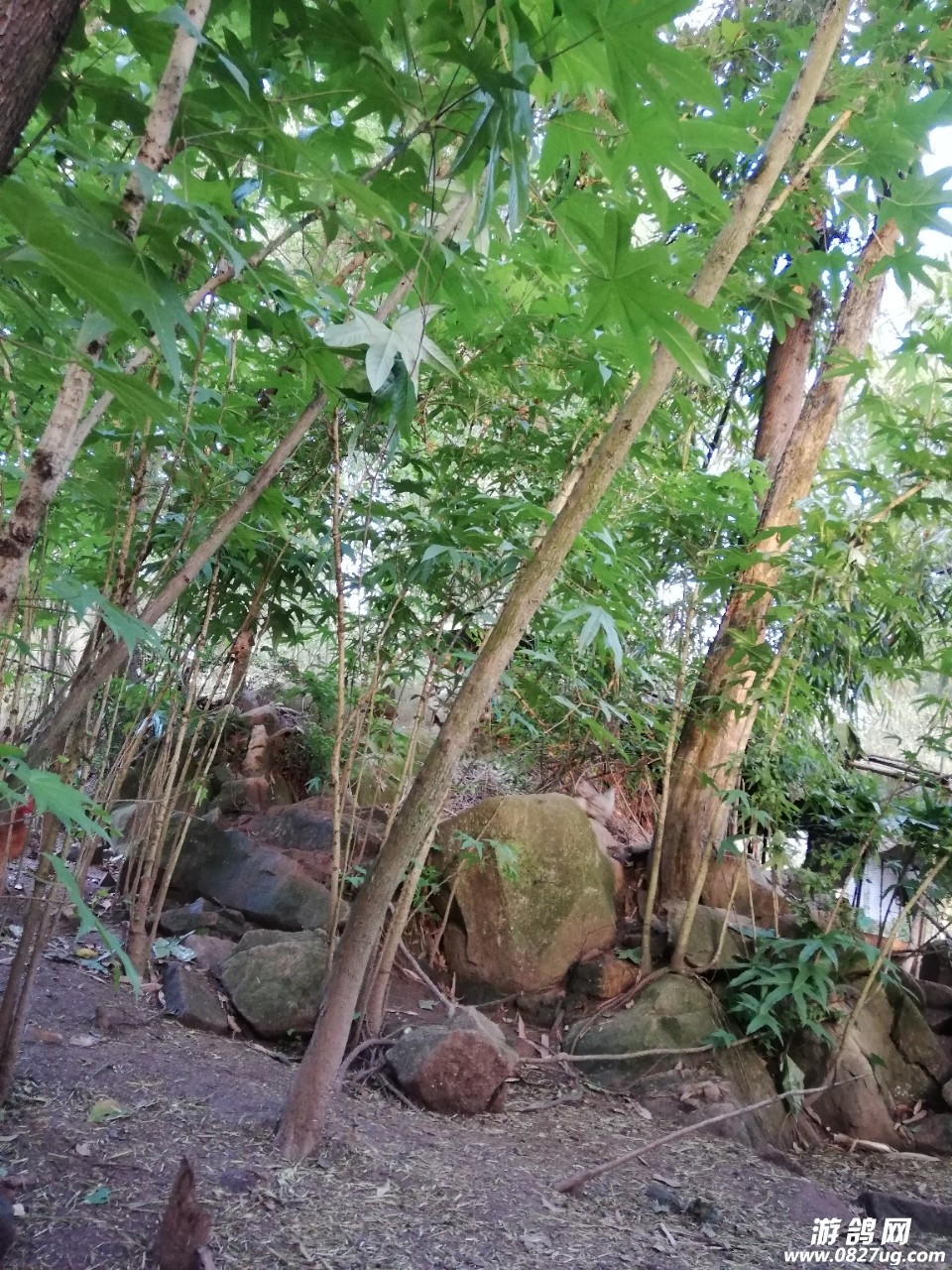 20180417_195748_1523967693841.jpg