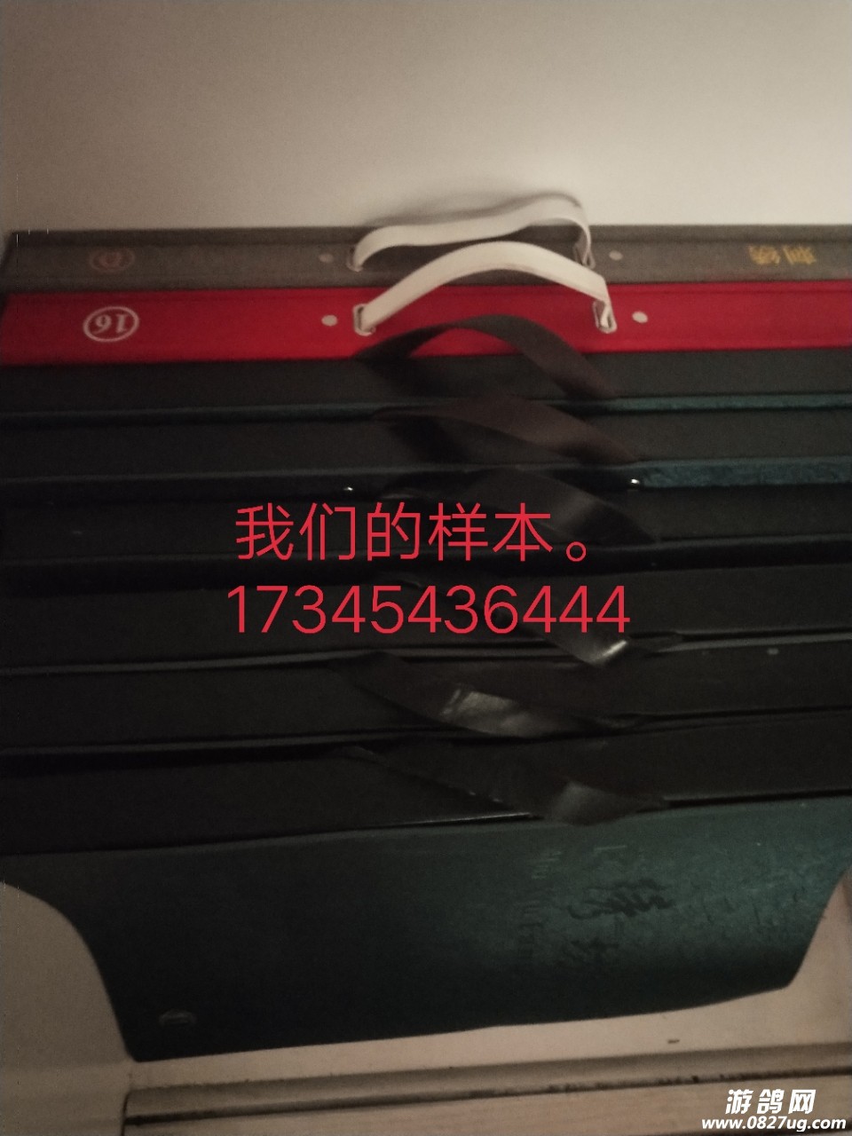 20180422_194632_1524364054006.jpg