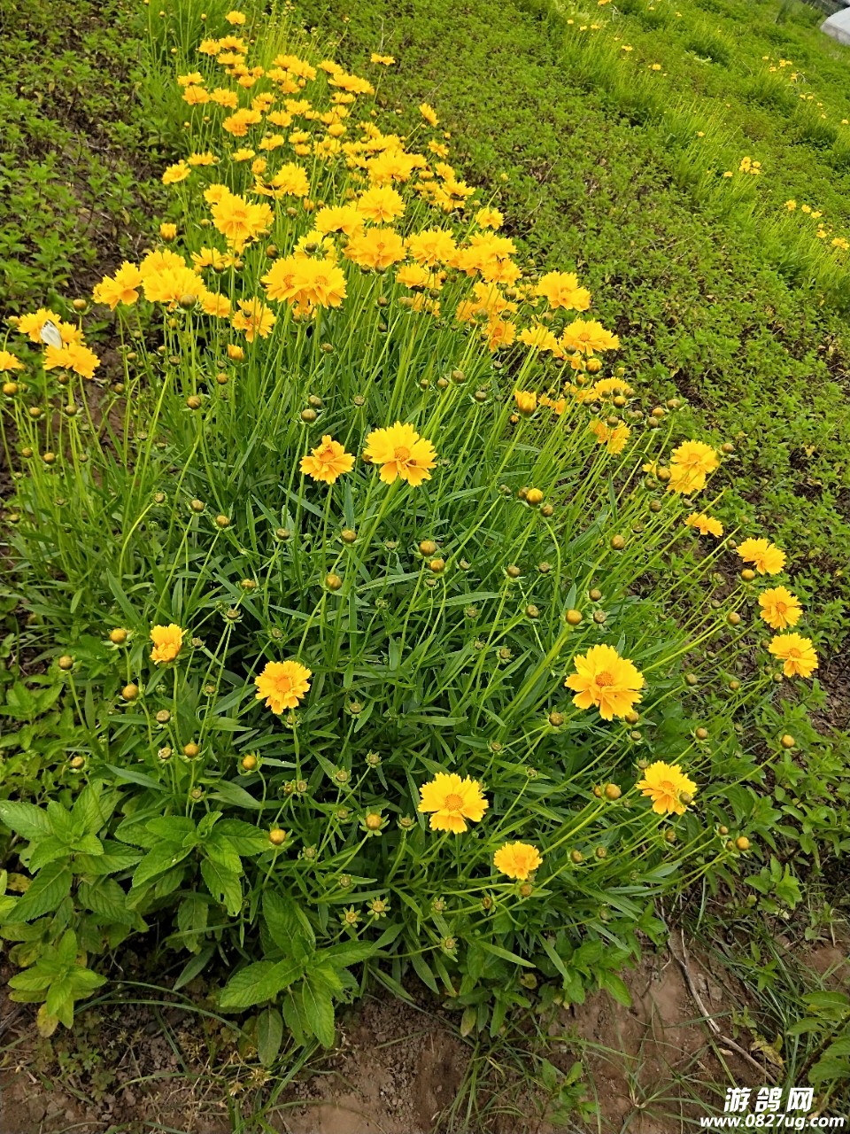 20180501_151028_1525149523320.jpg