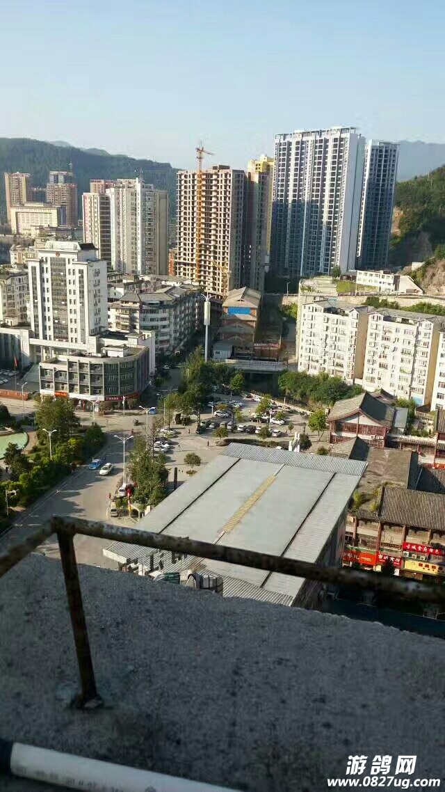 20180509_128735_1525852529981.jpg