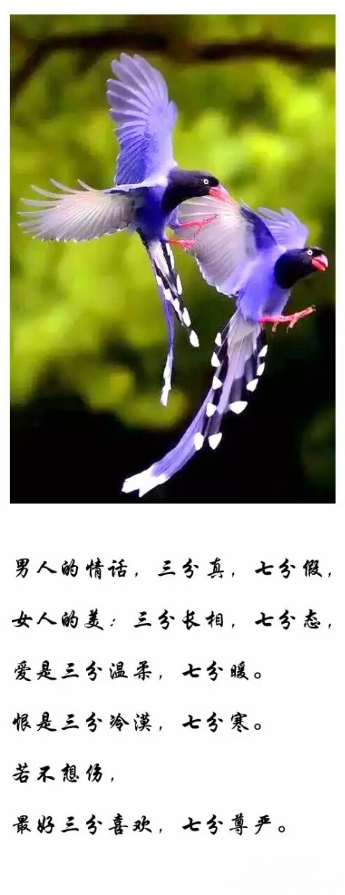 20180510_144104_1525907407189.jpg