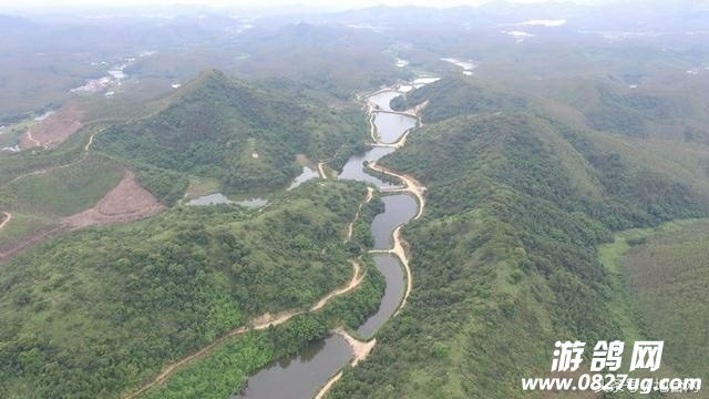 20180513_178842_1526196091835.jpg