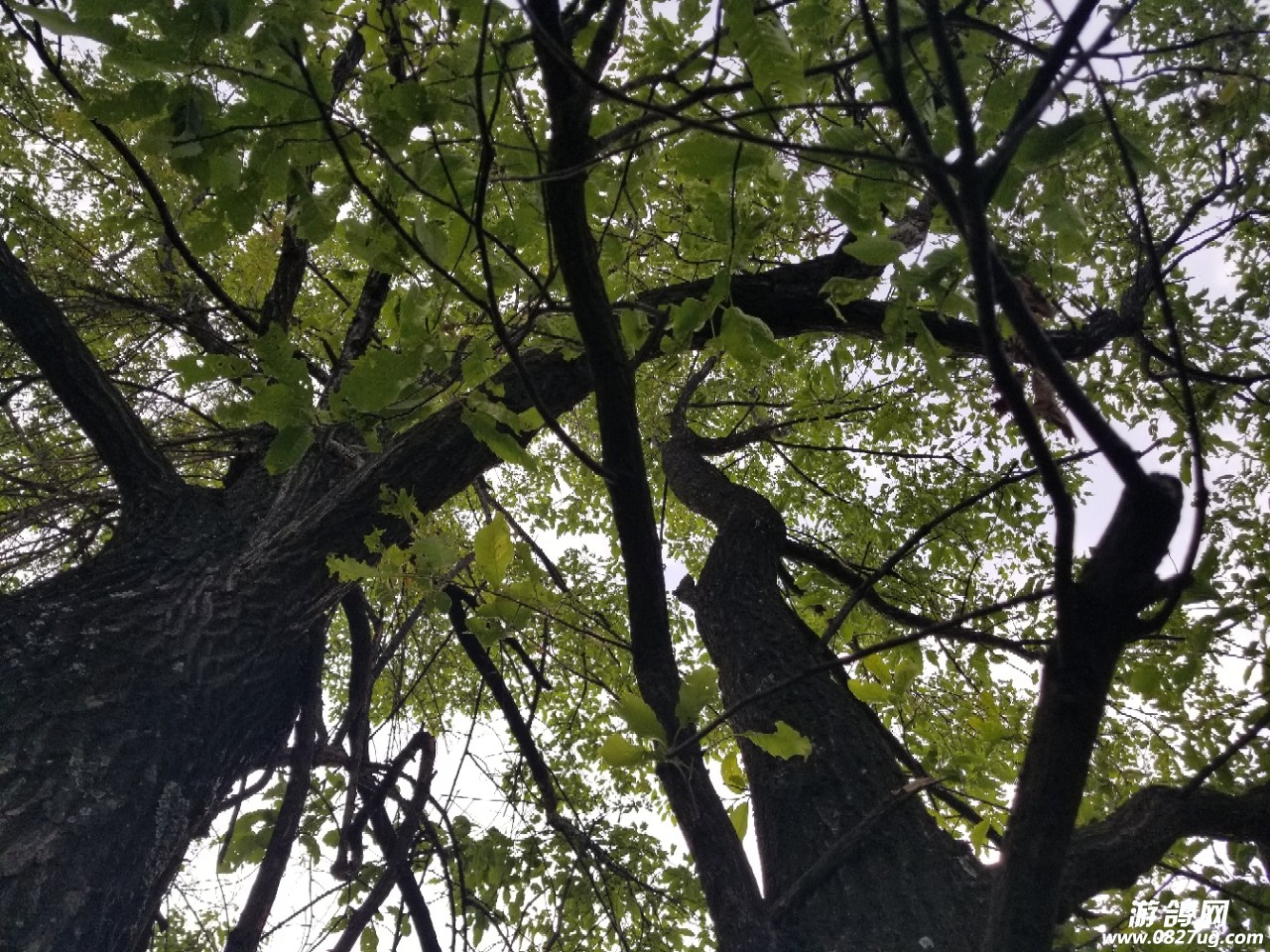 20180517_190073_1526545589582.jpg