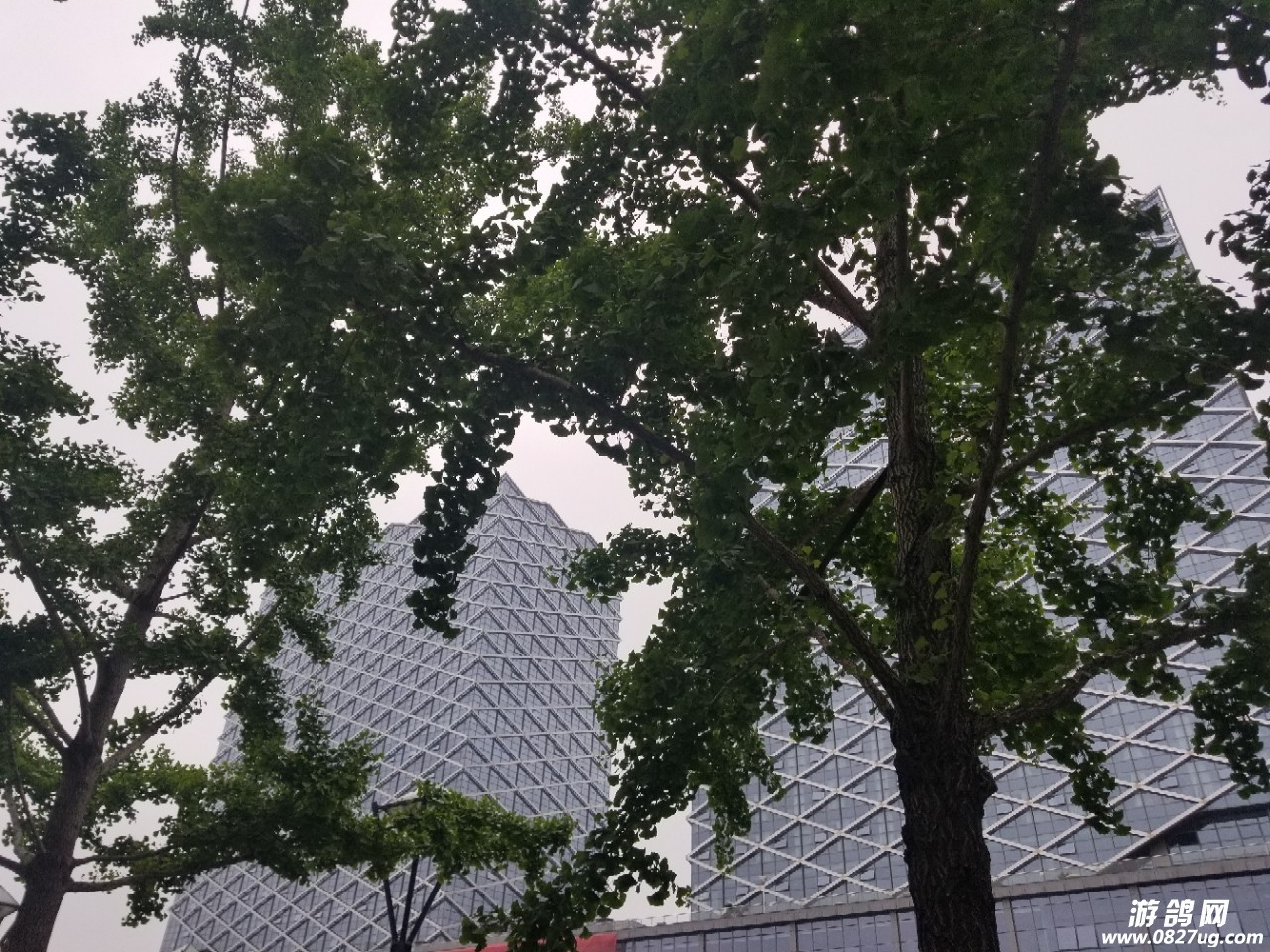 20180522_190073_1526968254275.jpg