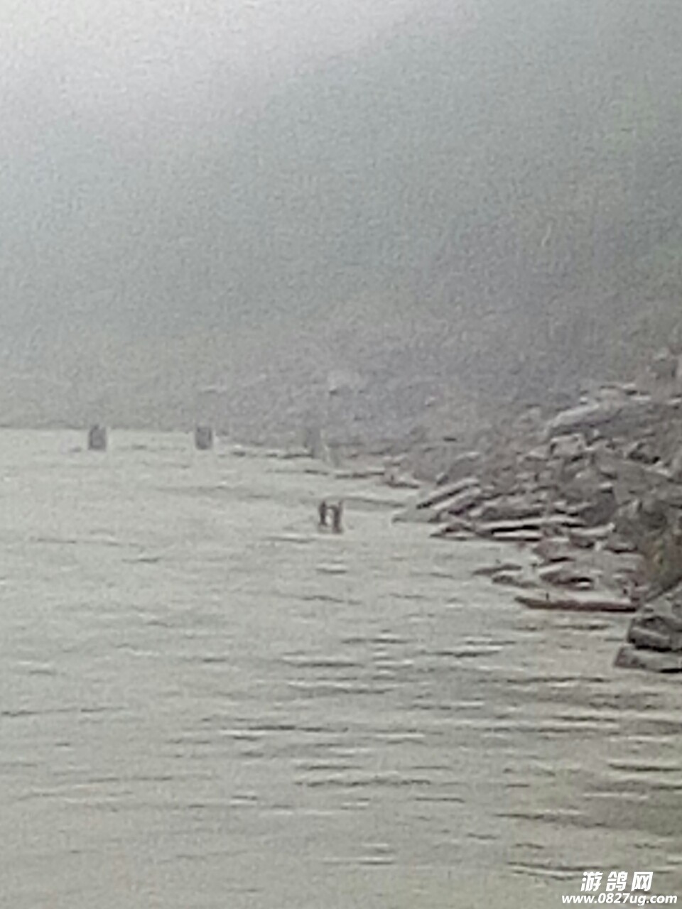 20180526_146766_1527291799680.jpg