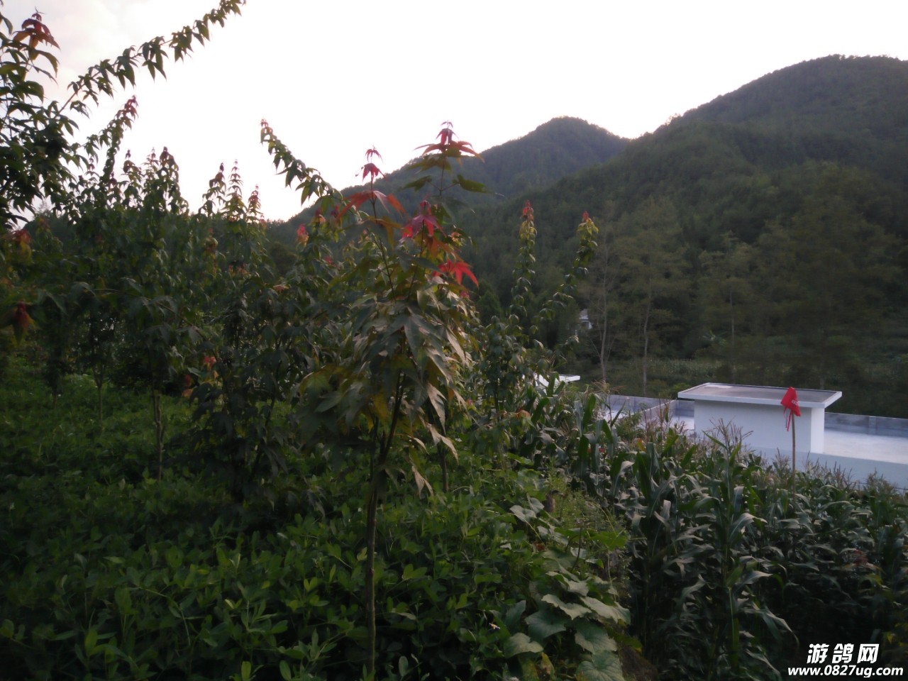 20180529_180523_1527531607570.jpg