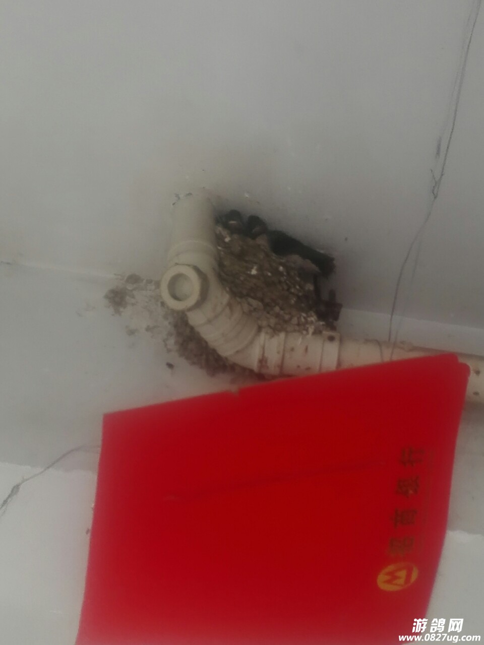 20180529_143938_1527546911735.jpg